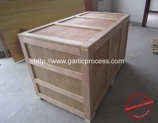 100kgh-Garlic-Peeling-Machine-Delivery-for-USA